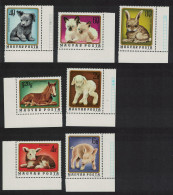 Hungary Puppy Kitten Foal Lamb Piglet Calf 7v Corners 1974 MNH SG#2928-2934 MI#3007-3013A - Nuevos