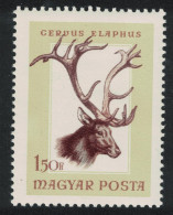 Hungary Red Deer Hunting Trophies 1Ft50 1966 MNH SG#2209 MI#2259A - Nuovi