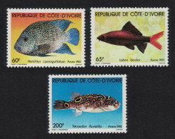 Ivory Coast Fish 3v 1981 MNH SG#666-668 MI#673-675 - Côte D'Ivoire (1960-...)