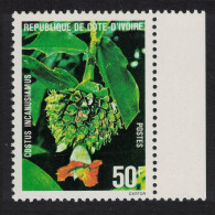Ivory Coast Flower 'Costus Incanusiamus' Margin 1980 MNH SG#624 - Côte D'Ivoire (1960-...)