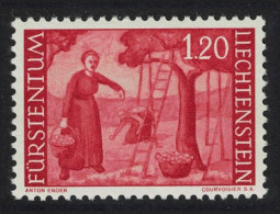Liechtenstein Harvesting Apples 1Fr20 1961 MNH SG#390 MI#396 Sc#347 - Ungebraucht