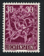 Liechtenstein Juniper Trees And Bushes 30r 1960 MNH SG#402 MI#400 Sc#354 - Unused Stamps