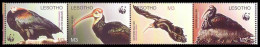 Lesotho WWF Southern Bald Ibis Birds Strip Of 4v Head Left 2004 MNH SG#1934-1937 MI#1895-1898 Sc#1336 A-d - Lesotho (1966-...)