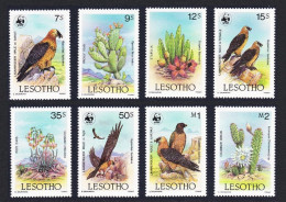 Lesotho WWF Lammergeier Birds Cacti WWF 8v 1986 MNH SG#677-684 MI#556-563 Sc#512-519 - Lesotho (1966-...)
