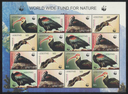 Lesotho WWF Southern Bald Ibis Birds Sheetlet Of 4 Sets 2004 MNH SG#1934-1937 MI#1895-1898 Sc#1336 A-d - Lesotho (1966-...)