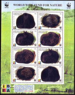 Kyrgyzstan WWF Corsac Fox Holographic Stamps Sheetlet Of 2 Sets 1999 MNH SG#163-166 MI#172-175 Sc#123 A-d - Kyrgyzstan