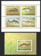 Kyrgyzstan Fish Sheetlet Of 4v+MS 1994 MNH SG#43-MS47 MI#44-47+Block 5 Sc#51a-52 - Kirgizië