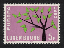 Luxembourg Stylised Tree Europa 5f. 1962 MNH SG#708 MI#658 - Neufs