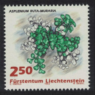 Liechtenstein 'Asplenium Ruta-muraria' Fern 2Fr50 1992 MNH SG#1040 - Ungebraucht