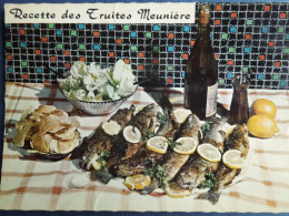 Recette Des Truites Meunières         CP240390 - Recipes (cooking)