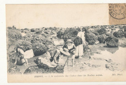 76 // DIEPPE   A La Recherche Des Crabes Dans Les Roches Noires  ND PHOTO - Dieppe