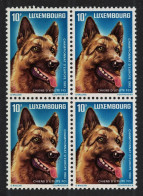 Luxembourg Sheepdog European Working Dog Block Of 4 1983 MNH SG#1117 MI#1084 Sc#698 - Neufs