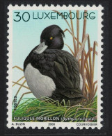 Luxembourg Tufted Duck Bird Buzin 2000 MNH SG#1538 MI#1505 - Unused Stamps