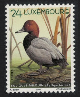 Luxembourg Common Pochard Duck Bird Buzin 2000 MNH SG#1537 MI#1504 - Unused Stamps