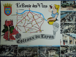 Vin.   Coteaux Du Layon.   Multivues Et Blason         CP240391 - Other & Unclassified