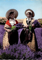 La Cueillette De La Lavande ( Fillettes En Costume Local ; Timbrée De Gréoux Les Bains En 1961  ; édir: Photoguy à Nice - Sonstige & Ohne Zuordnung