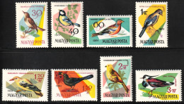 1961 Hungary Songbirds Set (** / MNH / UMM) - Passereaux