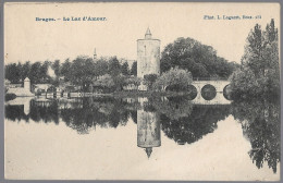 CPA CARTE POSTALE BELGIQUE BRUGES LE LAC D' AMOUR 1908 - Other & Unclassified