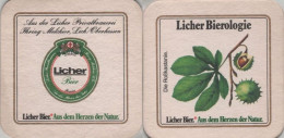 5005186 Bierdeckel Quadratisch - Licher - Beer Mats