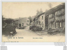 Julot1939 ....  BOHAN ..-- Nels  40 , N° 267 . Chemin De MEMBRE . Sèchage Du Tabac ! - Vresse-sur-Semois