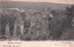 ORVAL - Abbaye Notre Dame D'Orsal - Ruines Du XIIe Siècle  - Andere & Zonder Classificatie