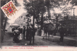 62 - ARRAS - Exposition Du Nord De La France - Promenade A Dos De Chameau - Arras