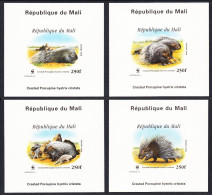 Mali WWF Crested Porcupine 4 De-Luxes Imperf 1998 MNH MI#1974-1977 Sc#918 A-d - Mali (1959-...)