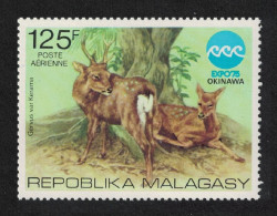 Malagasy Rep. Sika Deer Fauna Okinawa Expo 1975 MNH SG#324 - Madagascar (1960-...)