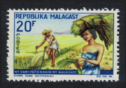 Malagasy Rep. International Rice Year 1967 MNH SG#126 - Madagascar (1960-...)