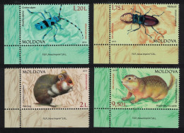 Moldova Beetles Rodents Endangered Animals Fauna 4v Corners 2019 MNH SG#1072-1075 - Moldova