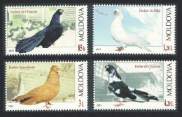 Moldova Breeds Of Pigeon Birds 4v 2012 MNH SG#782-785 MI#799-802 - Moldavie