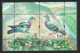 Moldova Rock Dove 'Columba Livia' Birds MS 2010 MNH SG#MS696 MI#Block 50 - Moldavie