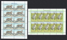 Moldova Snow Leopard Wallaby Chisinau Zoo 2v Sheetlets 2013 MNH SG#814-815 - Moldova