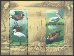 Moldova Ibis Pelican Spoonbill Duck Endangered Birds MS 2011 MNH SG#MS752 MI#Block 52 - Moldavie