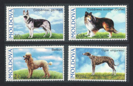 Moldova Dogs 4v 2006 MNH SG#557-560 - Moldavie