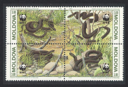 Moldova WWF Aesculapian Snake Fauna Block Of 4 1993 MNH SG#57-60 MI#50-53 Sc#72a-d - Moldavie