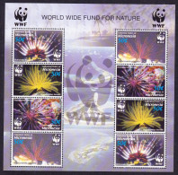 Micronesia WWF Feather Stars Sheetlet Of 2 Sets 2005 MNH SG#1347-1350 MI#1674-1677 Sc#659 A-d - Mikronesien