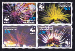 Micronesia WWF Feather Stars 4v Block Of 4 2005 MNH SG#1347-1350 MI#1674-1677 Sc#659 A-d - Micronésie