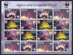 Micronesia WWF Feather Stars Sheetlet Of 4 Sets 2005 MNH SG#1347-1350 MI#1674-1677 Sc#659 A-d - Micronesia