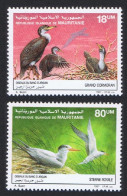 Mauritania Birds Cormorants Terns 2v 1988 MNH SG#899-900 MI#923-924 Sc#634-635 - Mauritania (1960-...)