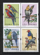 101 POLOGNE 2004 - Y&T 3868/71 - Oiseau - Neuf **(MNH) Sans Charniere - Neufs