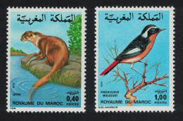 Morocco Moussier's Redstart Bird Otter Wildlife 2v 1979 MNH SG#532-533 - Morocco (1956-...)