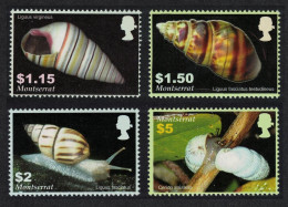 Montserrat Shells Molluscs 4v 2005 MNH SG#1279-1282 - Montserrat