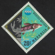 Mongolia Lenok Fish 1974 MNH SG#876 - Mongolië