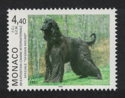 Monaco Afghan Hound Dog 1997 MNH SG#2299 - Unused Stamps
