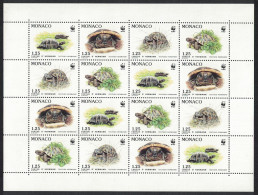 Monaco WWF Hermann's Tortoise Sheetlet Of 4 Sets 1991 MNH SG#2048-2051 MI#2046-2049 Sc#1778-1781 - Ungebraucht