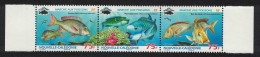 New Caledonia Fish Strip Of 3v 2009 MNH SG#1461-1463 MI#1489-1491 - Ongebruikt