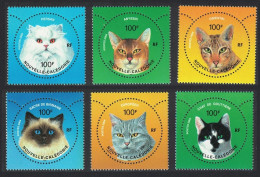 New Caledonia Cats 6v 2004 MNH SG#1326-1331 - Unused Stamps