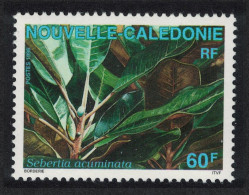 New Caledonia Rainforest Shrub 'Sebertia Acuminata' Nickel 1995 MNH SG#1040 - Neufs