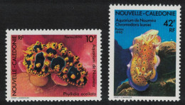 New Caledonia Noumea Aquarium Sea Slugs 2v 1990 MNH SG#880-881 - Ungebraucht